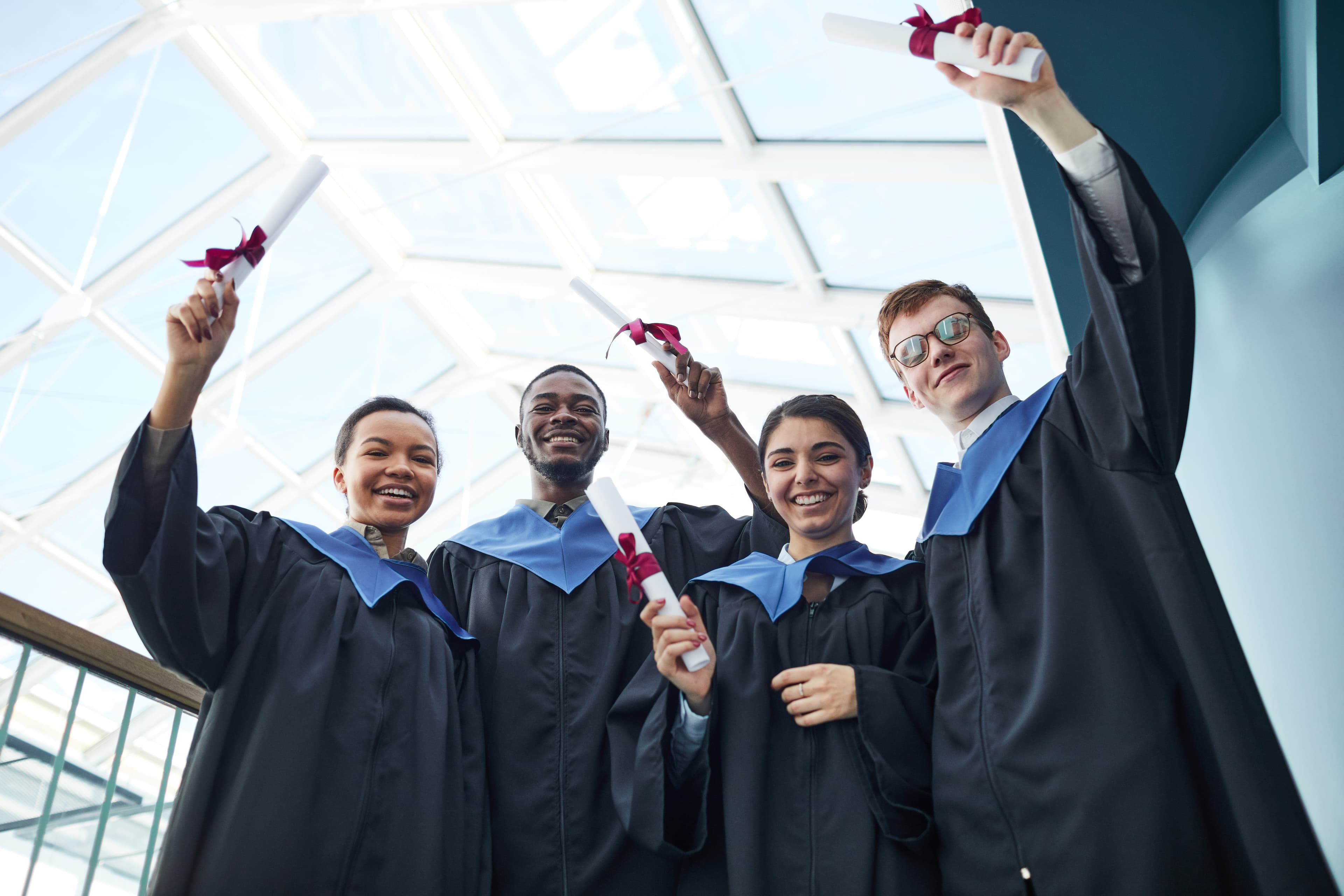 Licencia profesional activa